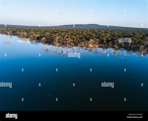 Trees line a man-made dam in Kalumbila, Zambia Stock Photo - Alamy