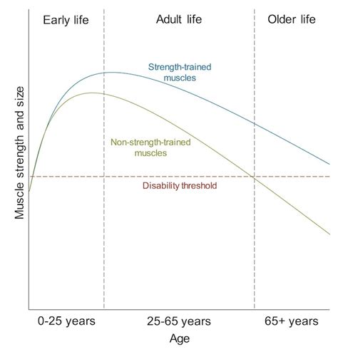 Steep Physical Decline With Age Is Not Inevitable. Here's How to Prevent It | RealClearScience