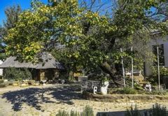 Ficksburg Accommodation - 12 unique places to stay in Ficksburg