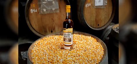 15 Best Corn Whiskey Brands Listed & Ranked (2023 Updated)