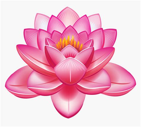 Lotus Flower Vector - Lotus Clipart, HD Png Download - kindpng