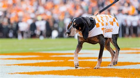 Tennessee Traditions: Smokey - YouTube