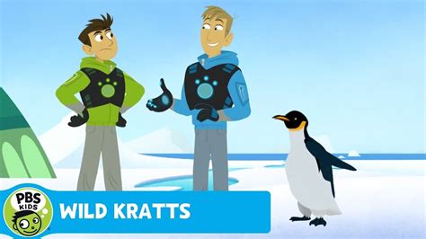 WILD KRATTS | Penguin March | PBS KIDS | WPBS | Serving Northern New ...