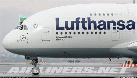 Airbus A380-841 - Lufthansa | Aviation Photo #4025493 | Airliners.net