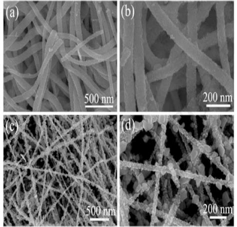 (a) SEM image, (b) high-magnification SEM image, and (c) SEM image, (d)... | Download Scientific ...