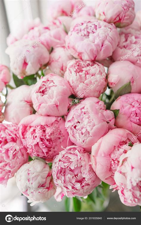 Beautiful Bouquet Of Pink Peonies - Pink Peonies (#3223584) - HD ...