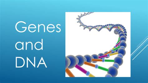 DNA Structure PPT