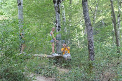 The Tree Zipline Experience Stock Image - Image of outdoor, copy: 123598539