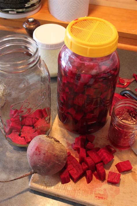 How to make beet kvass, a traditional tonic | Hello Homestead