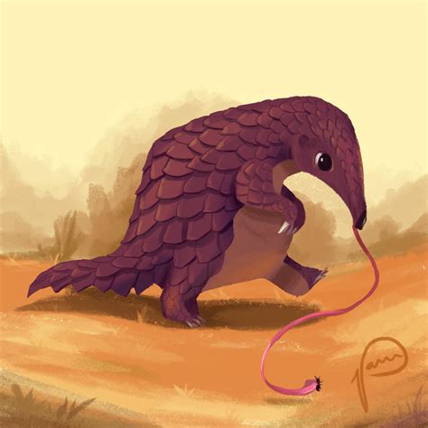 Pangolin by Pameloo on DeviantArt