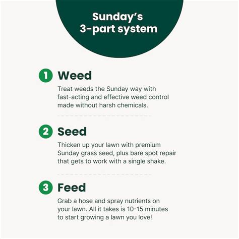 Sunday Pet Lawn Premium Pet-Safe Grass Seed 5-lb Natural Mixture/Blend Grass Seed in the Grass ...