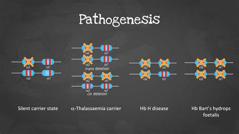 Alpha Thalassemia: Causes, Symptoms, Diagnosis & Treatment