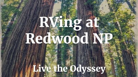 Campgrounds Near Redwood National Park | Kids Matttroy