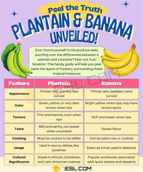 Plantain vs. Banana: Understanding the Differences • 7ESL