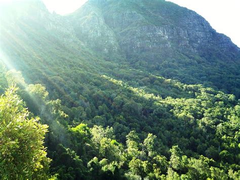 Easy hiking trails for beginners and children in Cape Town