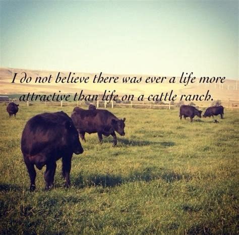 Quotes about Cattle (169 quotes) | Cattle, Cow quotes, Cattle ranching