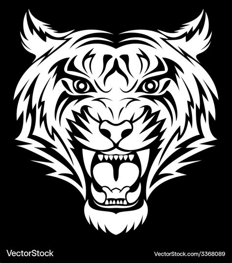 White tiger face Royalty Free Vector Image - VectorStock