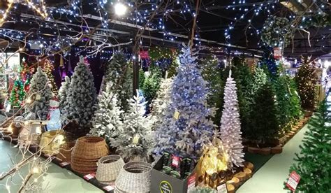 11 Of The Best Garden Centres In Yorkshire To Visit At Christmas