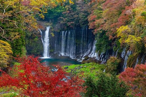 Private Mount Fuji and Hakone City Tour From Tokyo