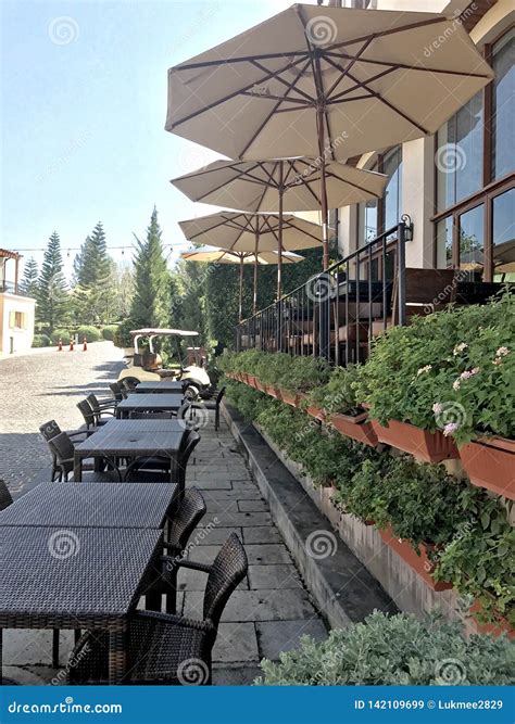 Cafe at Toscana Valley Resort, Khao Yai Mountain,Thailand Editorial Stock Image - Image of ...