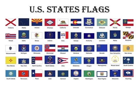 United States of America State flags Digital Art by StockPhotosArt Com - Fine Art America