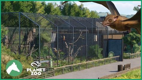 Bat House with Outodoor Aviary | Elm Hill City Zoo | Planet Zoo - YouTube