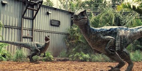 Jurassic World Velociraptor Pack | Jurassic Park Wiki | Fandom