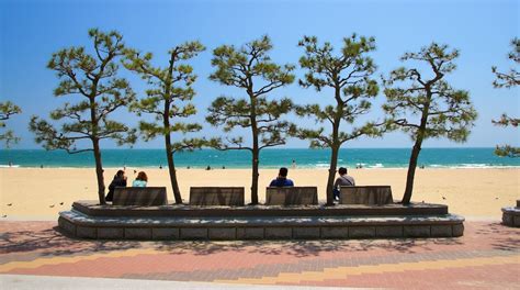 Haeundae Beach Tours - Book Now | Expedia