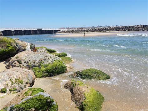 Bolsa Chica State Beach in Huntington Beach, CA (2020 Photos, Reviews, Info, Map) | BeachCatcher