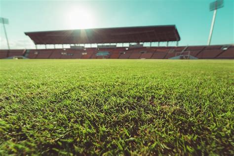 Premium Photo | Green grass in soccer stadium