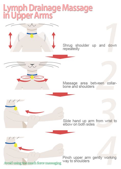 Manual Lymphatic Drainage Massage to Tone Upper Arms (With images ...