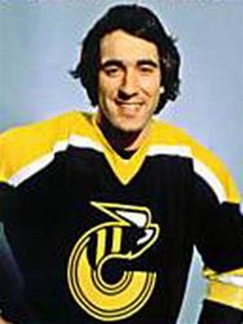 MIKE LIUT Cincinnati Stingers 1978 WHA Throwback Hockey Jersey - VintageJerseyCustom Club