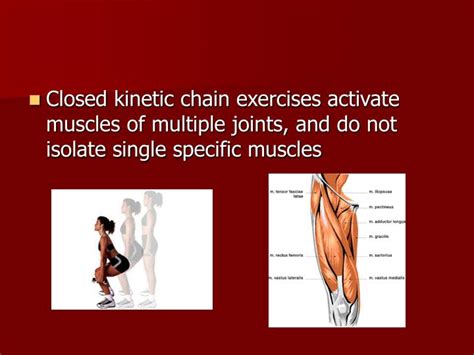 PPT - Closed Chain Exercise and Knee Pathologies PowerPoint ...