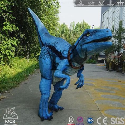 Best Party Rental Raptor Blue Costume-DCRP709 | Blue costumes, Furry costume, Costumes