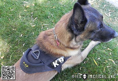 Flickriver: Photoset 'Elite K-9 Tactical Patrol Harness' by ITS Tactical