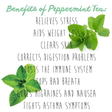 Health Benefits Of Peppermint Tea Peppermint Tea Benefits, I Quit Smoking, Heart Attack Symptoms ...