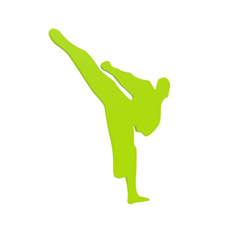 Karate boy isolated on transparent 21280623 PNG