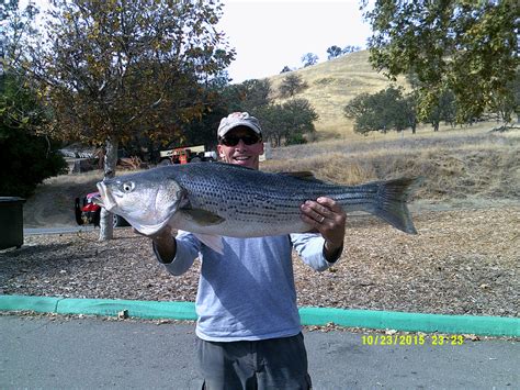 Del Valle Lake Fish Report - Del Valle Lake - Lake Del Valle Fishing ...