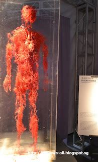 We'll Tell You - A&W Couple's Blog: The Human Bodies Exhibition at The Venetian Macao