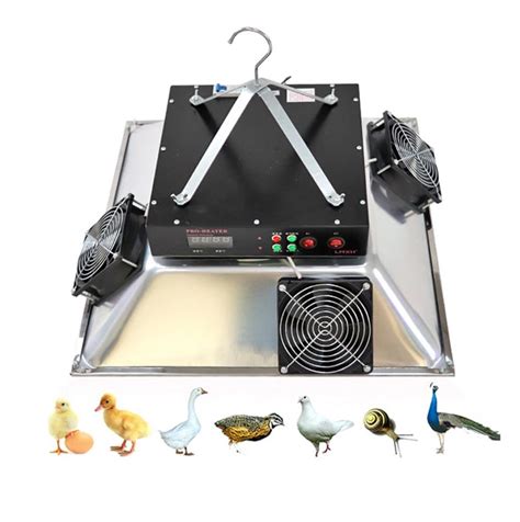 Brooder heater | chinachickencage.com