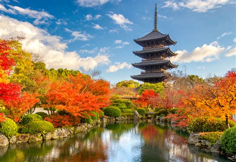 Autumn Light: Season of Fire and Farewells | From Japan with love - Telegraph India