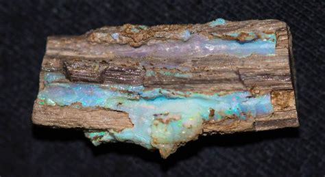 Petrified wood with precious opal- Bonanza Mine, Virgin Valley, Nevada. 3.5 cm wide Beach Stones ...