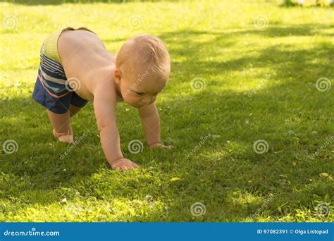 Funny Baby Boy Toddle Outdoor on the Lawn Stock Image - Image of ...