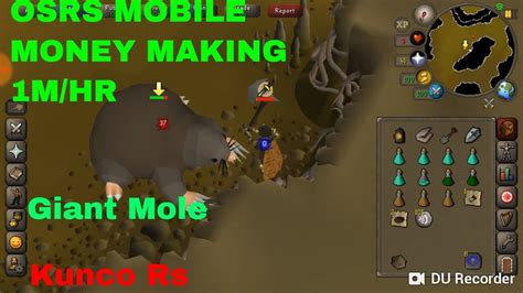 OSRS Mobile Giant Mole Guide 1M/Hr and How to Kill the Mole : 2007scape