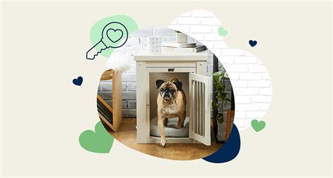 Buying Guide: How to Choose the Best Dog Crate for Your Pet