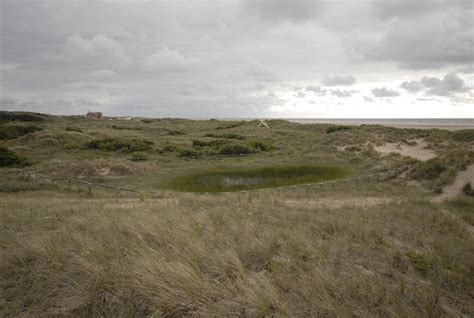 Natterjack toad breeding pool © Gary Rogers cc-by-sa/2.0 :: Geograph ...