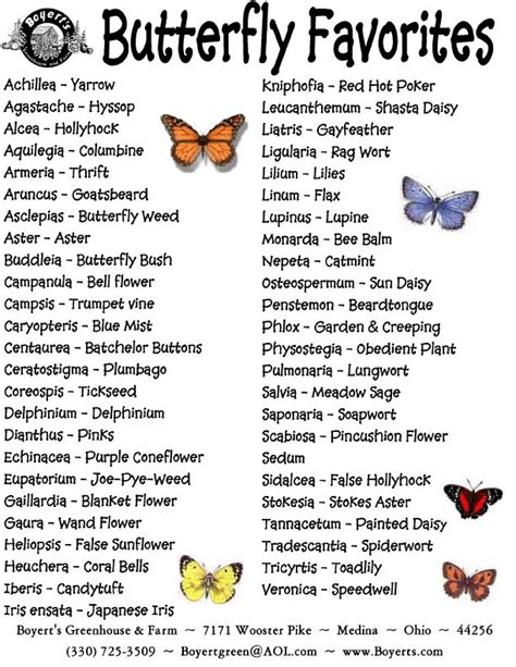 Butterfly garden plants, Butterfly garden, Companion planting chart