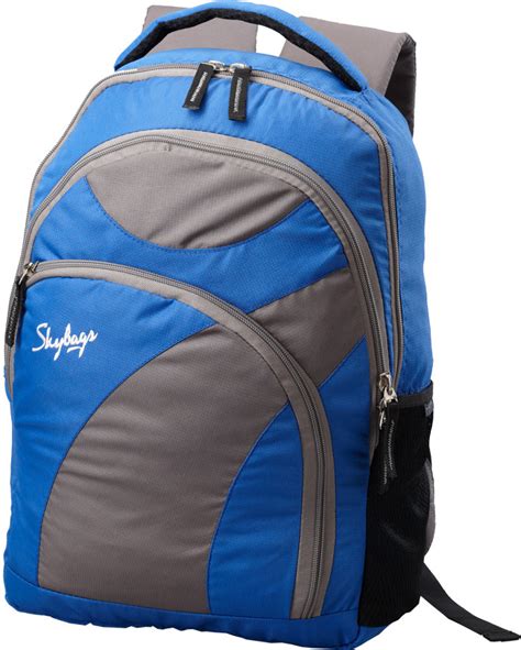 Skybags Backpack Blue - Price in India | Flipkart.com