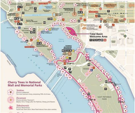 Maps - Cherry Blossom Festival (U.S. National Park Service)