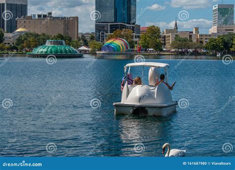 Swan Boats and Swan at Lake Eola Park in Downtown Area 30. Editorial ...